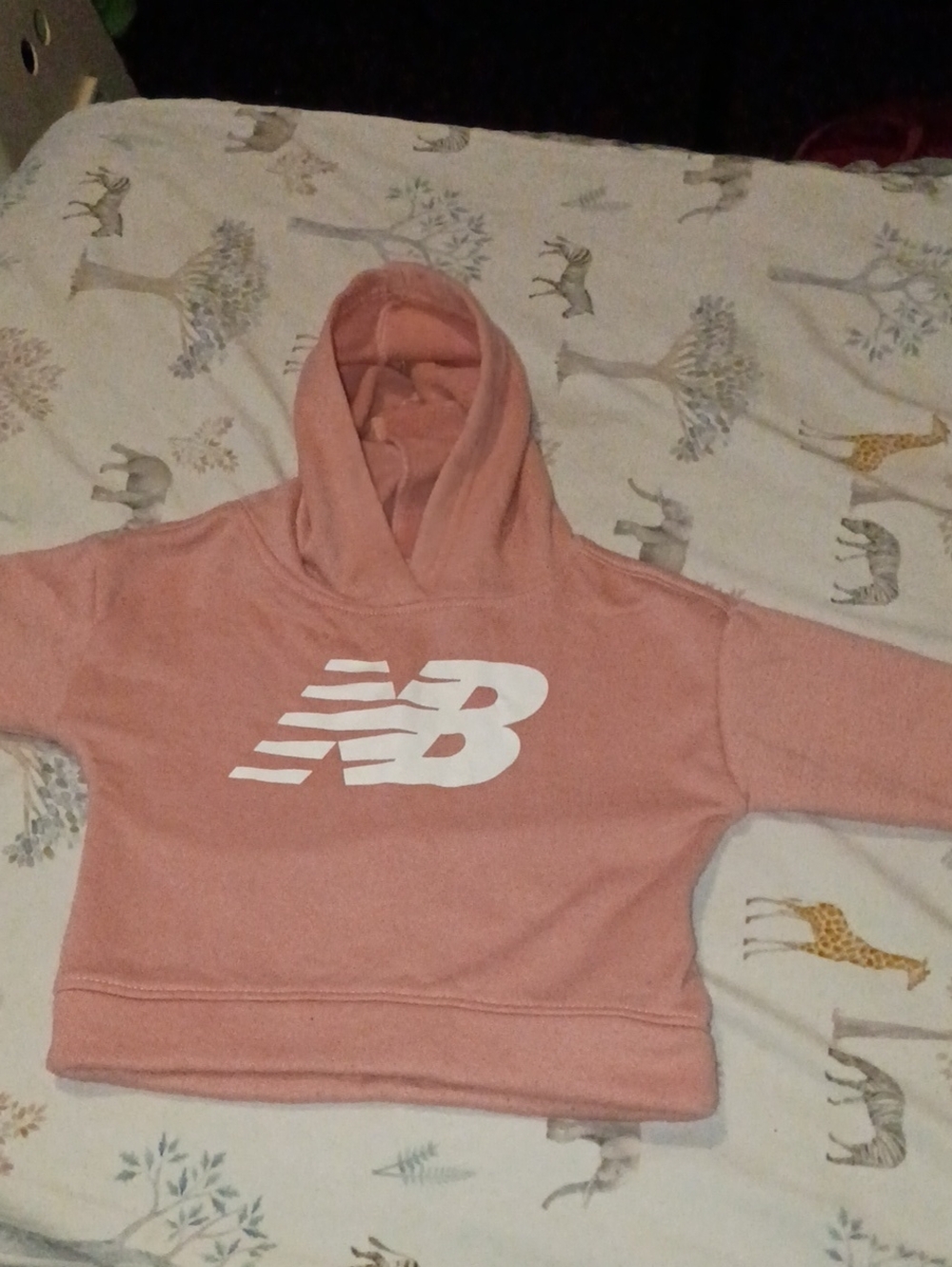 New Balance Kids Peach Pink Logo Hoodie